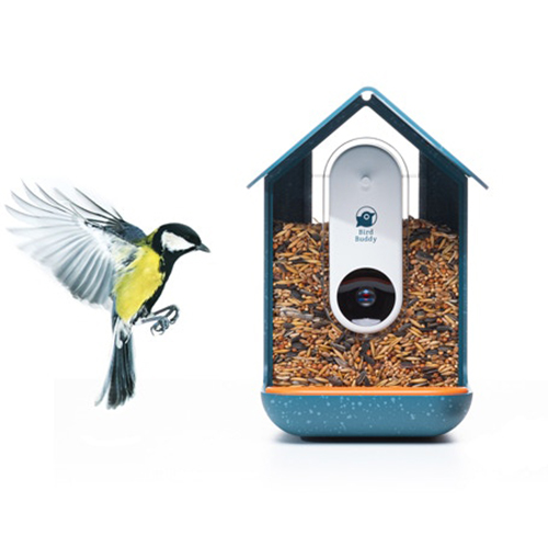 Умная кормушка для птиц. Bird Buddy